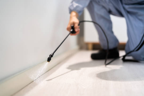Licensed Fumigation Services service in Perry County County, KY - Nex Pest Control